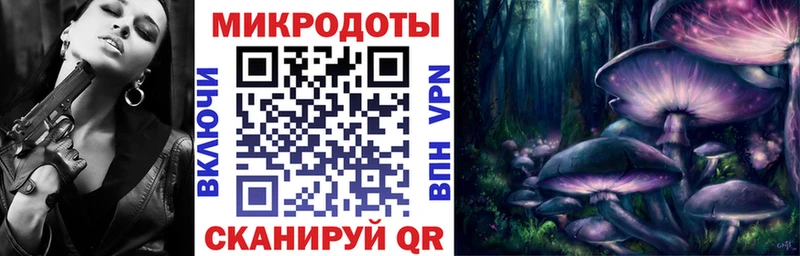 дарк нет официальный сайт  blacksprut   Заводоуковск  Галлюциногенные грибы мухоморы 